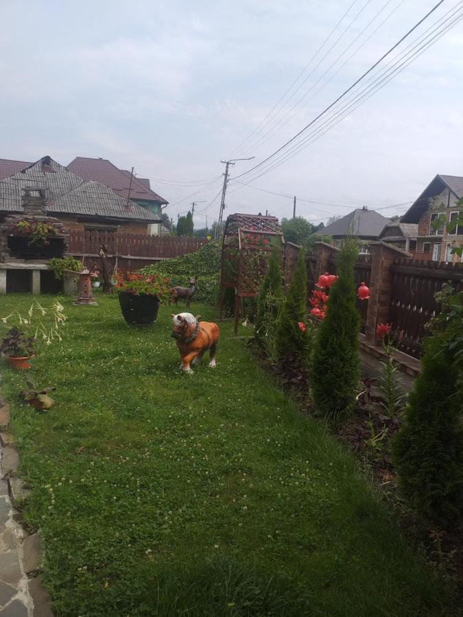 Pensiunea Rednic Lenuta Giulesti Dış mekan fotoğraf